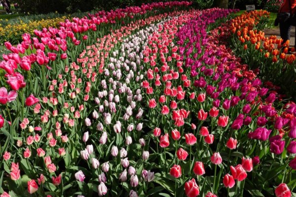 Le Parage Camping — Photo 3