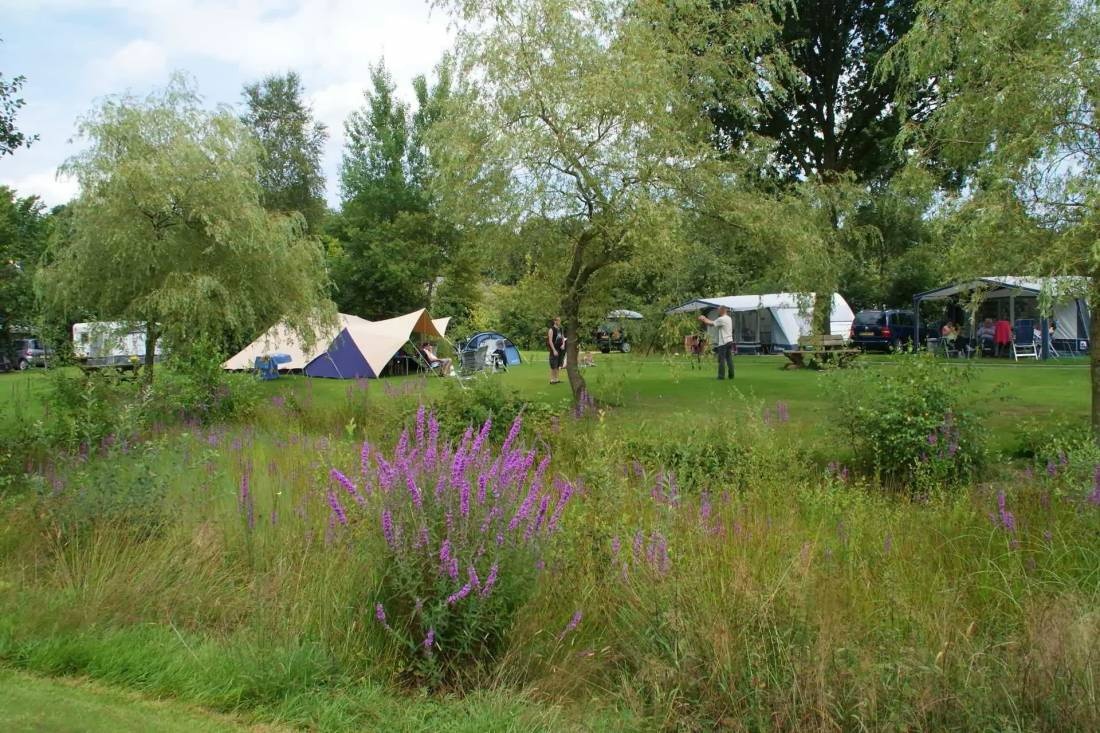 Landgoed Meistershof — Camping in Dwingeloo