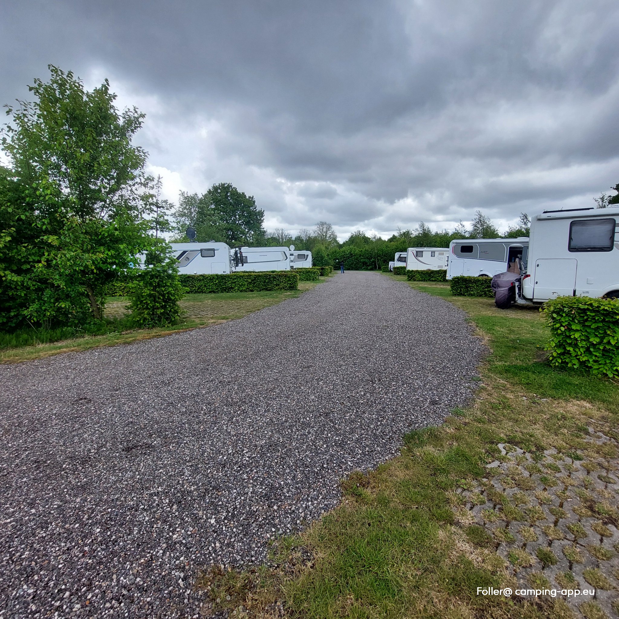 Camping 't Wisentbos — Photo 3