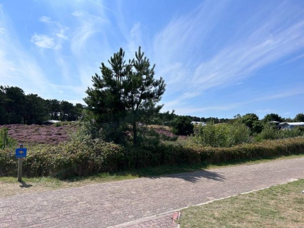 Camping Loodsmansduin — Photo 6