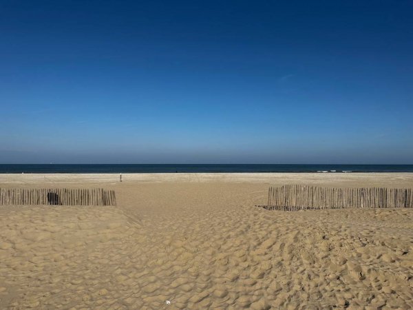 Molecaten Park Noordduinen — Photo 2