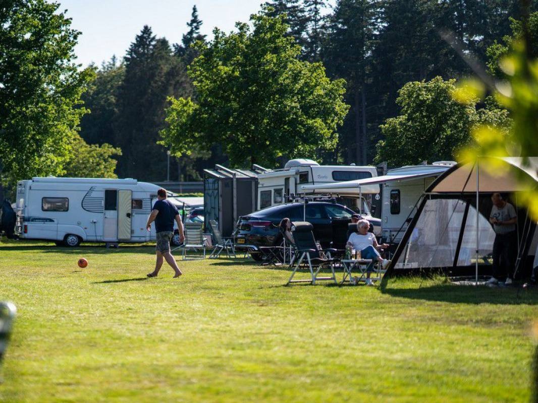 Camping de Hondsrug — Camping in Eext