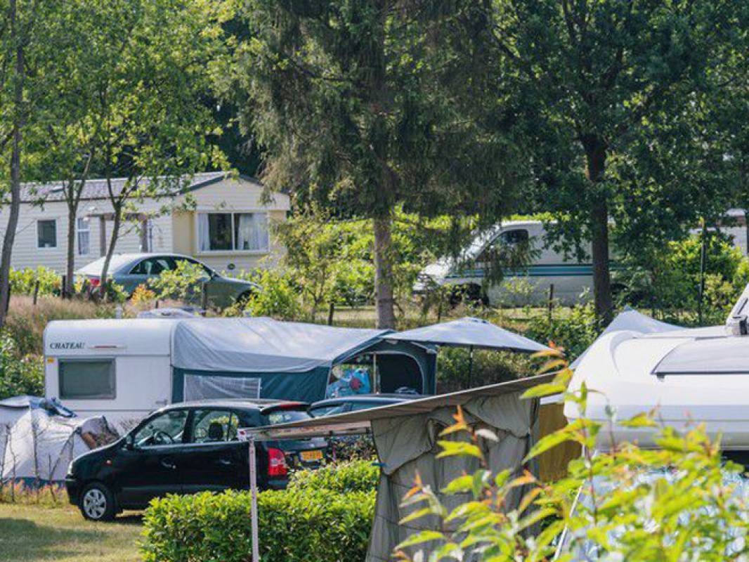 Camping de Hondsrug — Campingplads in Eext