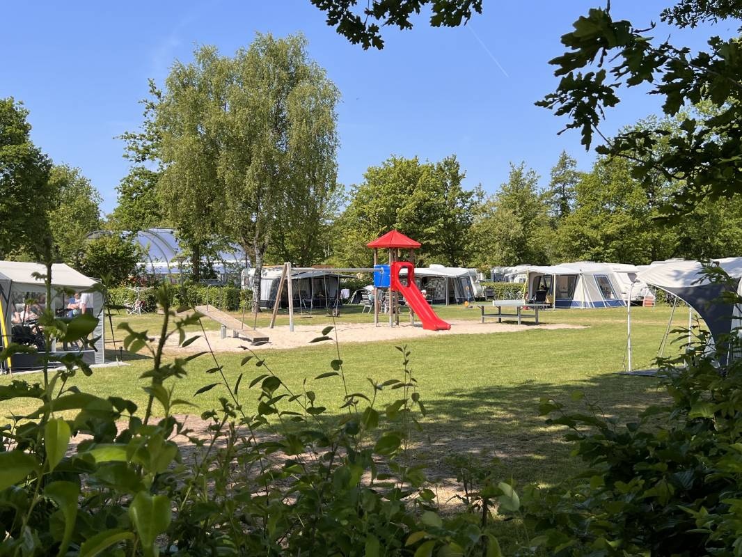 Camping 't Veld ***** — Campingplass in Rheeze / Overijssel