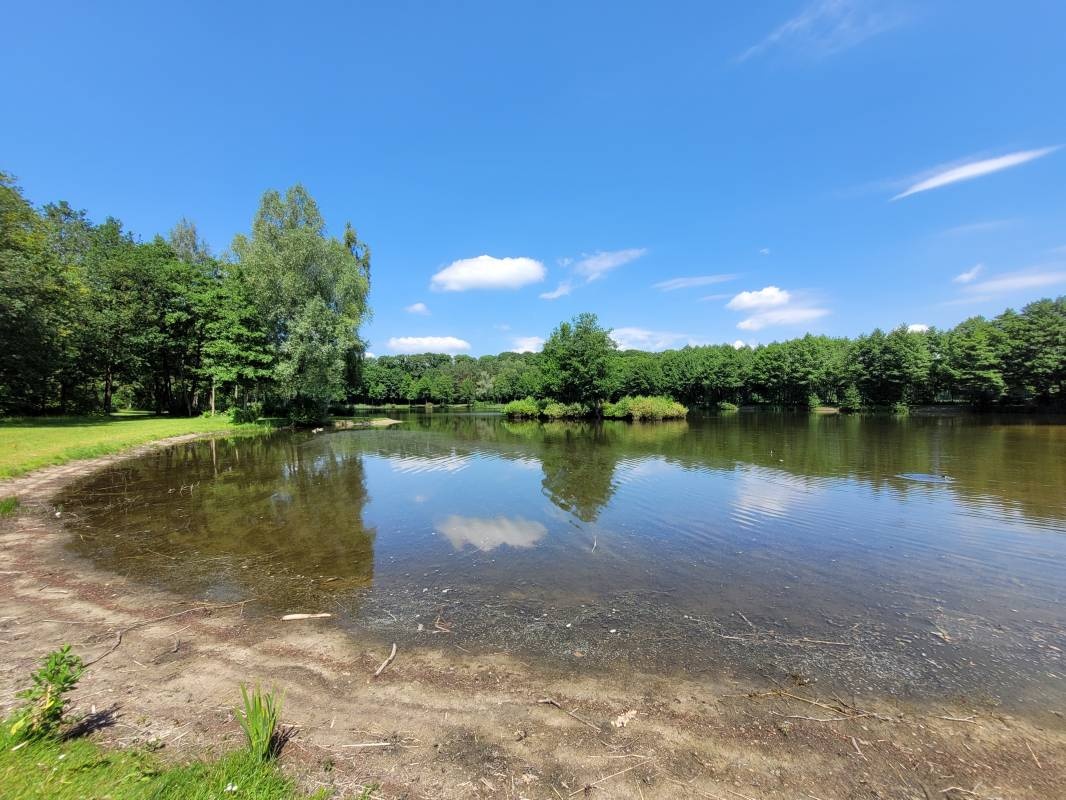 Camping 't Veld ***** — Kemping in Rheeze / Overijssel