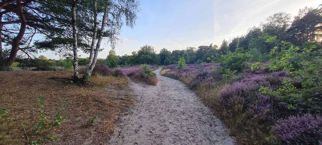 Allure Camping De Zeven Linden — Campingplatz in Baarn