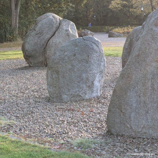 Roompot Bospark Lunsbergen — Photo 2