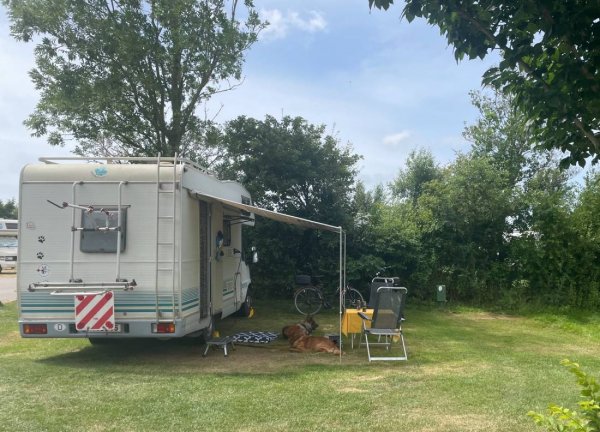 Recreatie De Zeehoeve — Photo 4