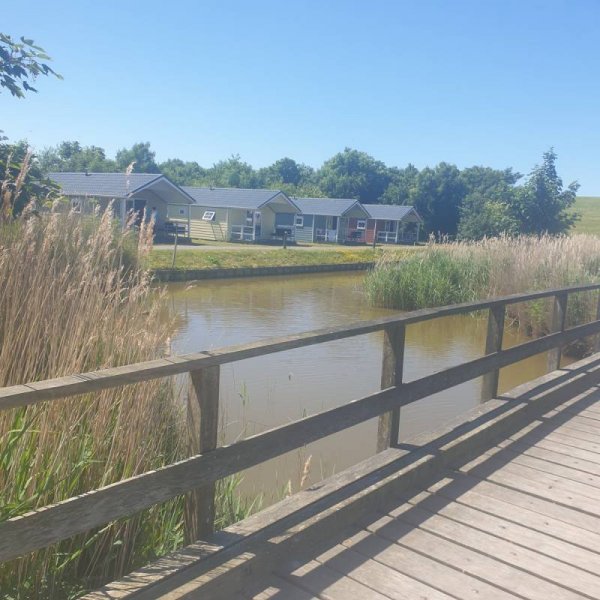 Recreatie De Zeehoeve — Photo 3