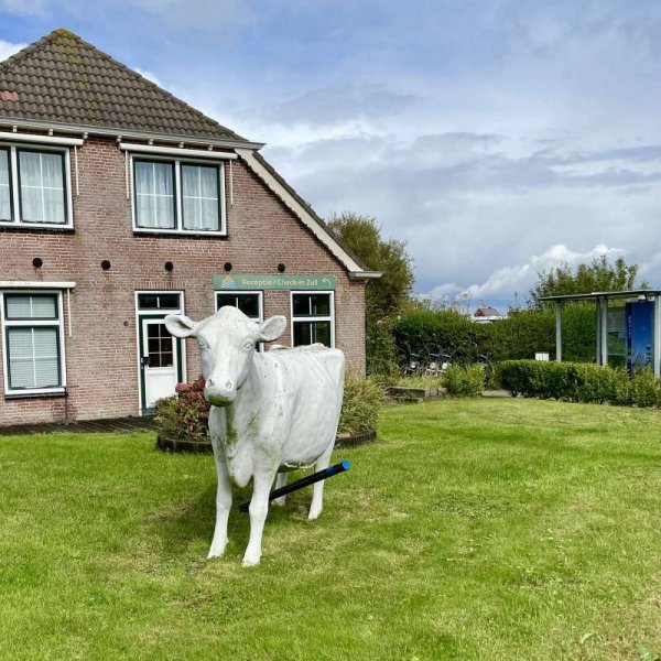 Recreatie De Zeehoeve