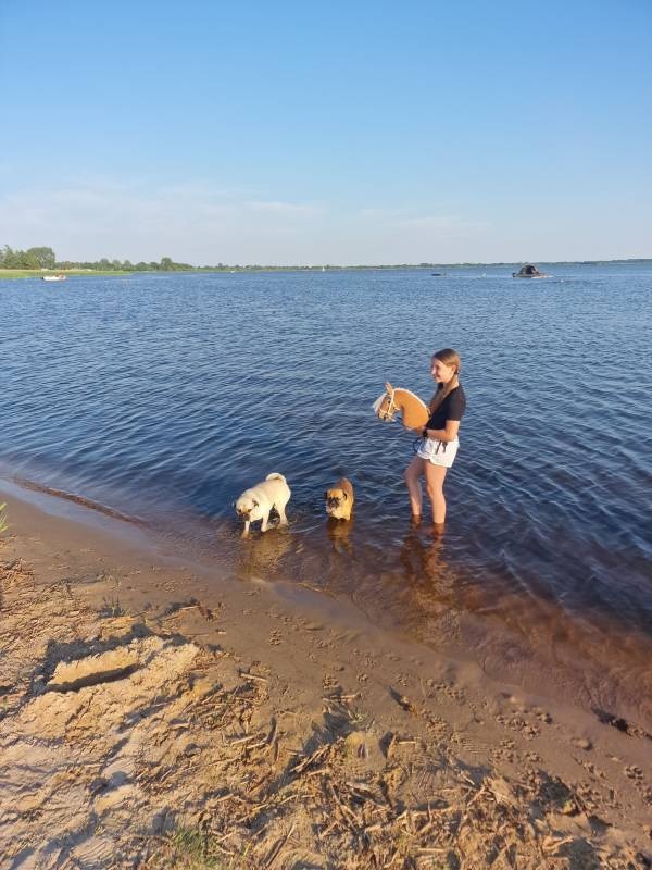 Camping Siblu Meerwijck — Campingplass in Midden-Groningen