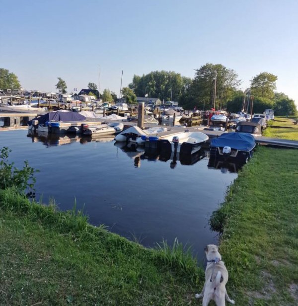 Camping Siblu Meerwijck — Photo 4