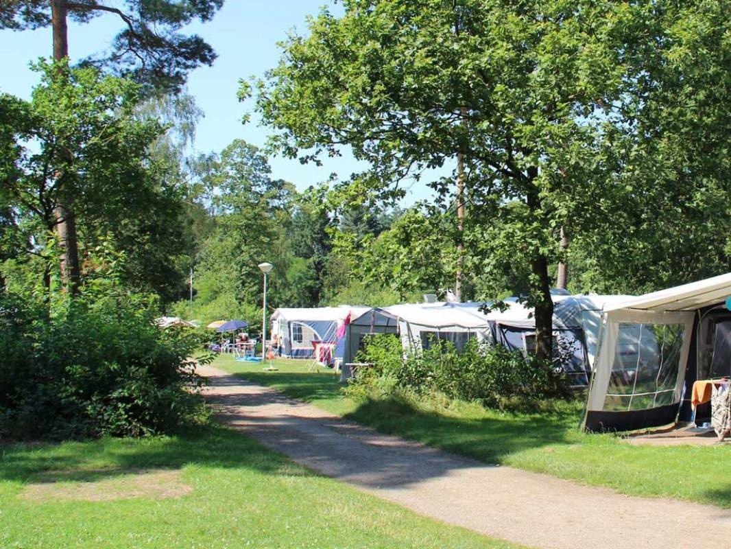 Molecaten Park Landgoed Ginkelduin — Camping in Leersum
