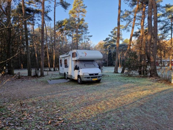 In de Rimboe — Photo 2