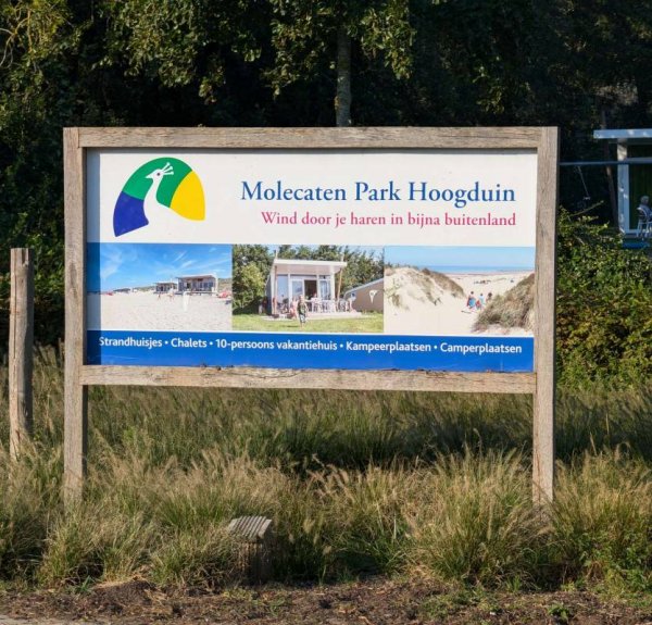Molecaten Park Hoogduin — Photo 3