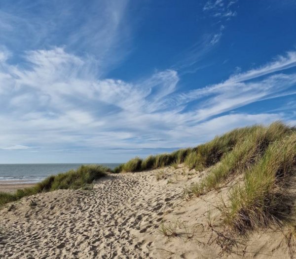 Molecaten Park Hoogduin — Photo 2