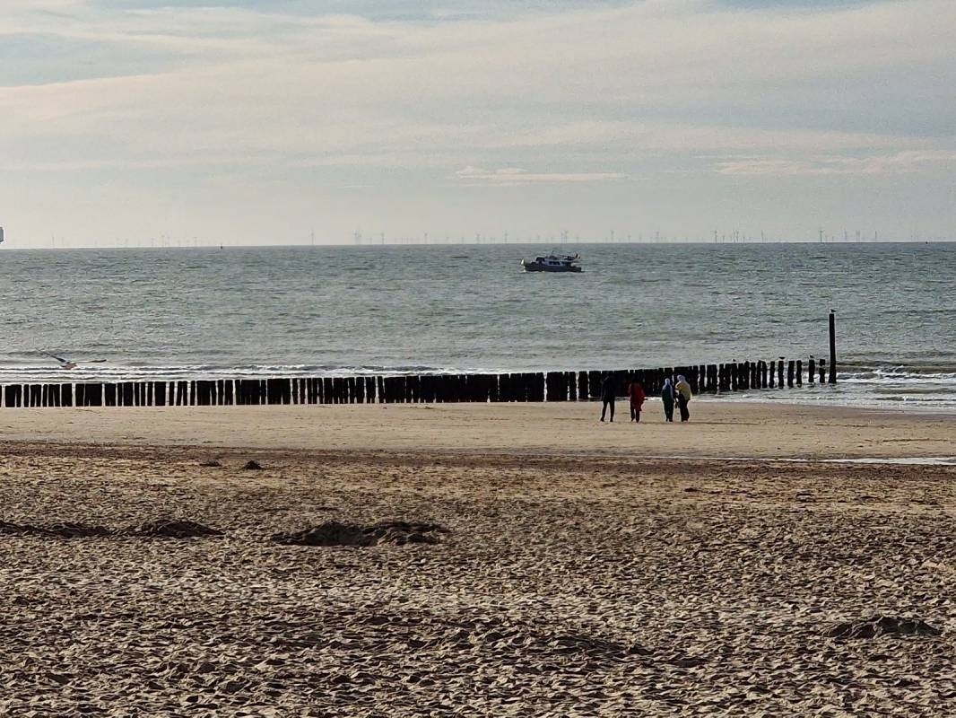 Molecaten Park Hoogduin — Campingplatz in Cadzand-Bad