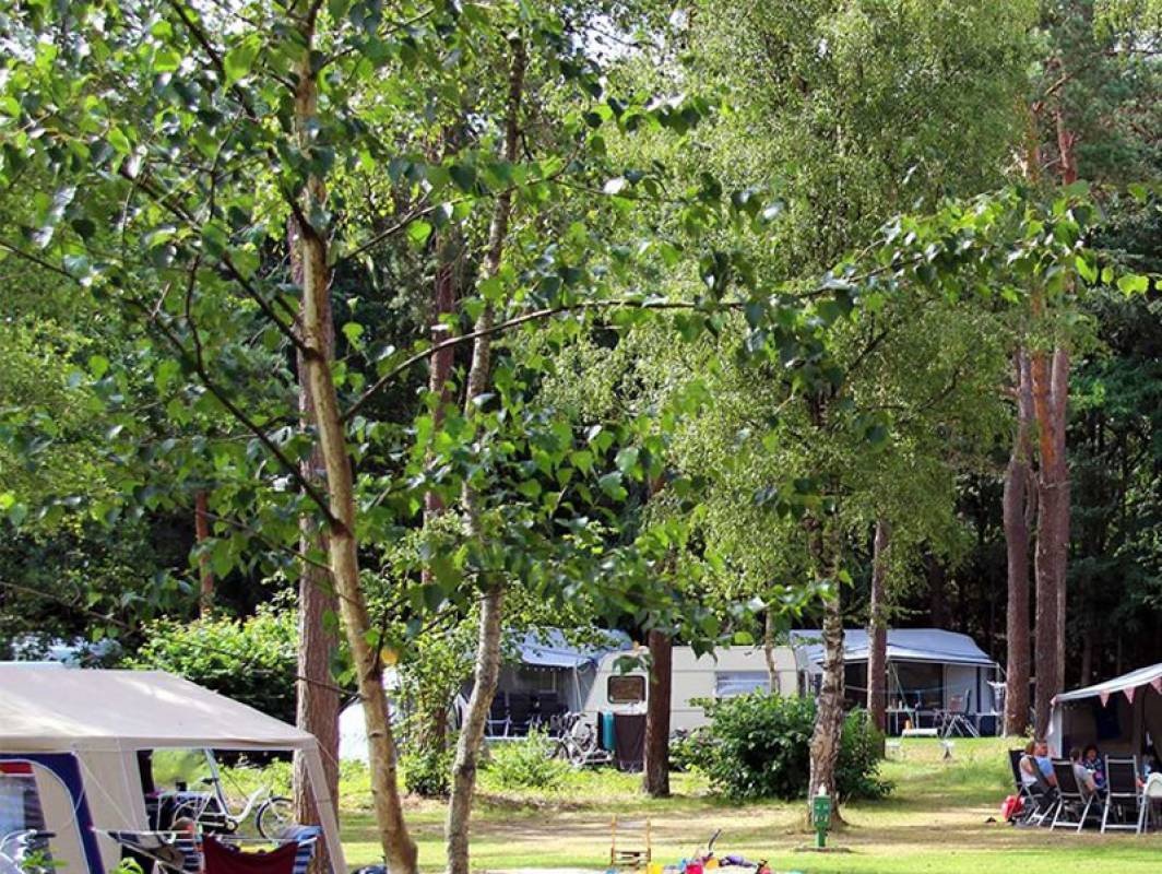 Molecaten Park De Leemkule — Campingplatz in Hattem