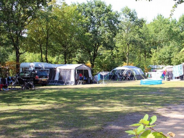 Molecaten Park Bosbad Hoeven — Photo 4