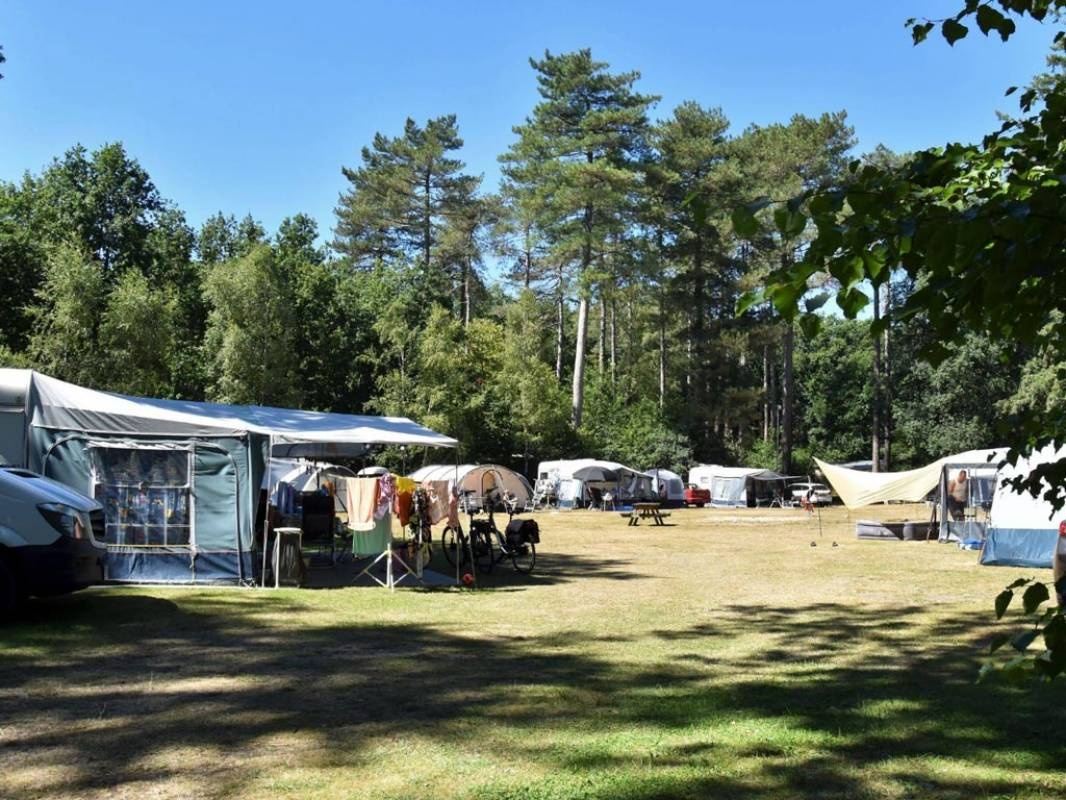 Ommerland Vakantie + Recreatie — Camping in Ommen