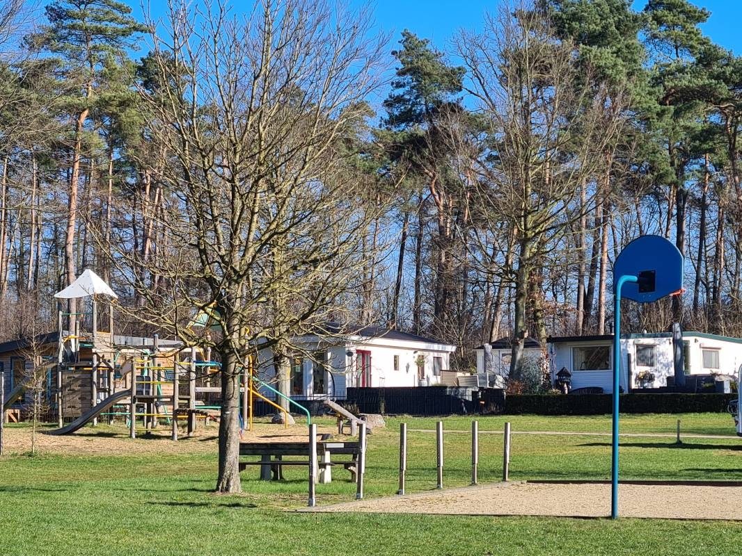 Camping De Slangenbult — Sítio de acampamento in Stokkum / Gelderland