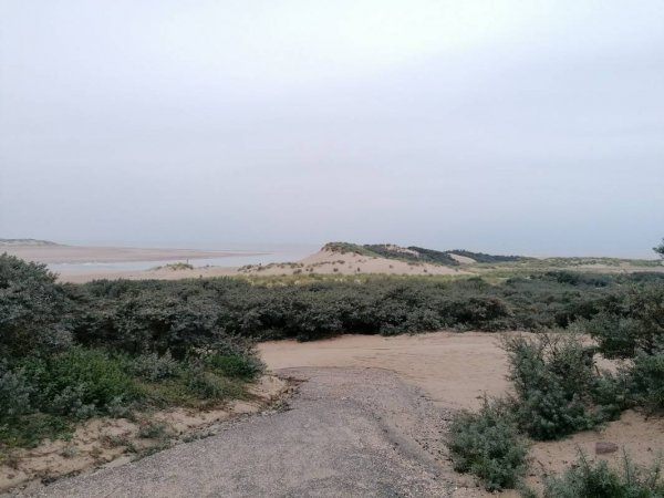 Camping De Wachtsluis & Theehuis Juffertje in het Groen — Photo 4