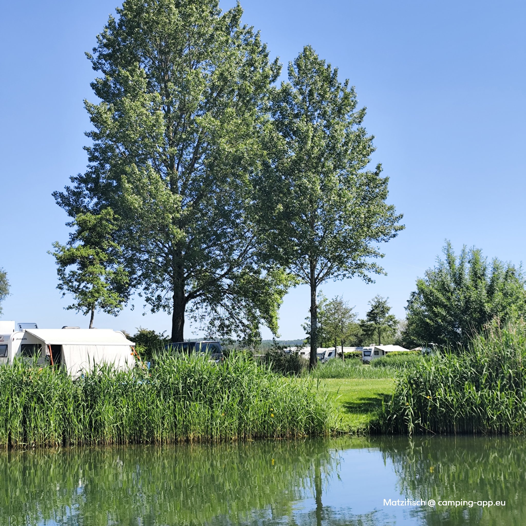 Eiland van Maurik Vakantiepark — Foto 3