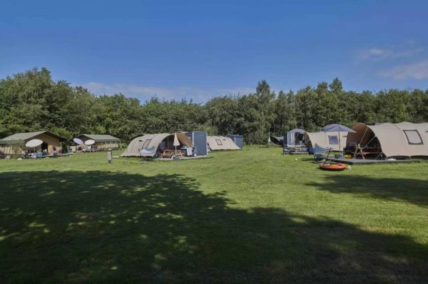 Sibiu De Lente van Drenthe — Photo 2