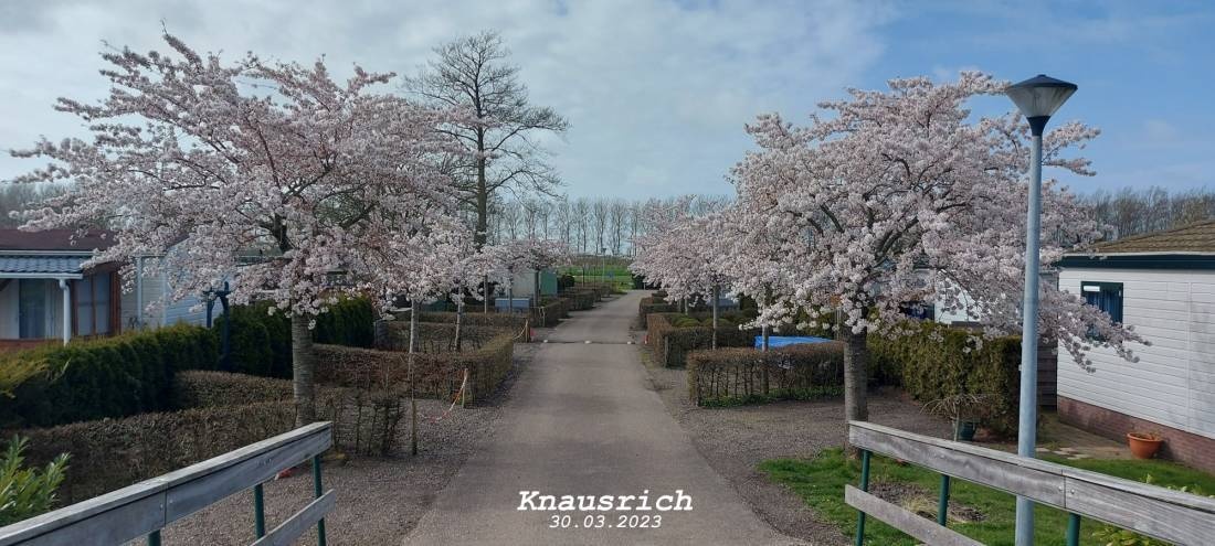 Camping 't Venhop — Kemp in Berkhout
