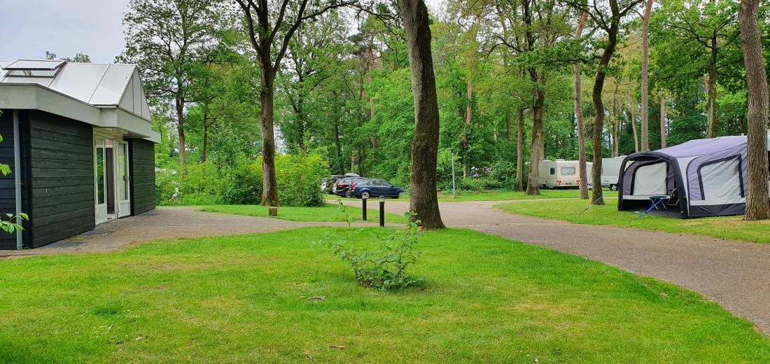Boscamping Zwanemeer — Kemping in Gieten