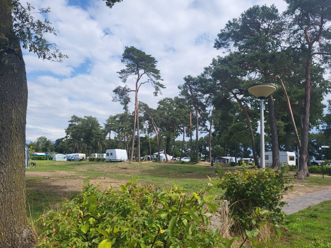 Camping De Molenhof — Camping in Reutum
