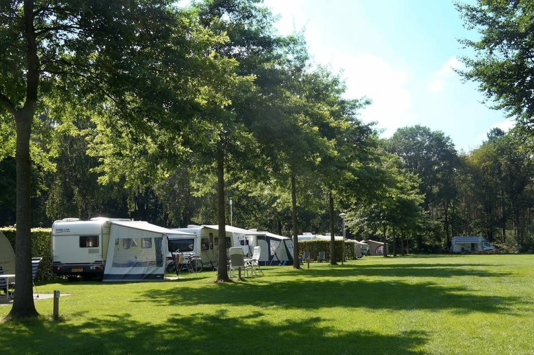 Nederrijkswald — Campingplatz in Berg en Dal