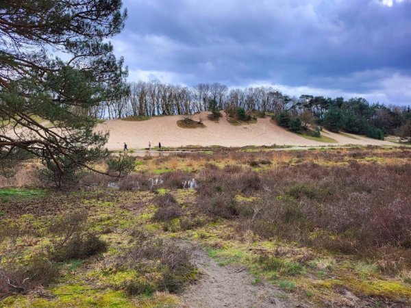 EuroParcs De Zanding