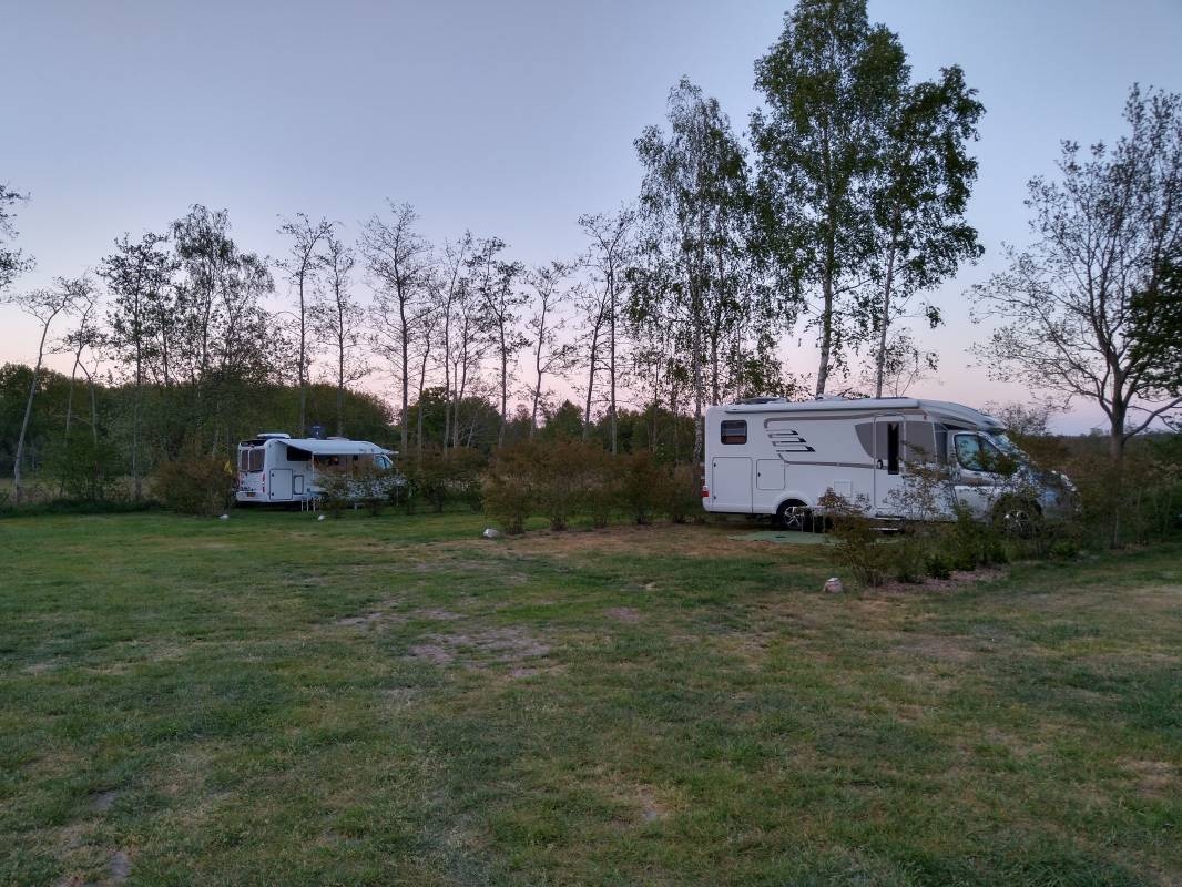 Jelly's Hoeve — Kemping in Havelte / Drenthe