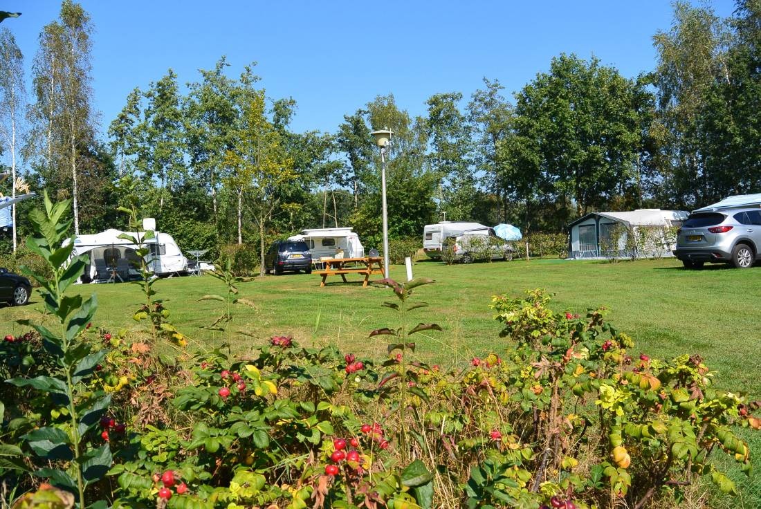 Jelly's Hoeve — Campingplats in Havelte / Drenthe