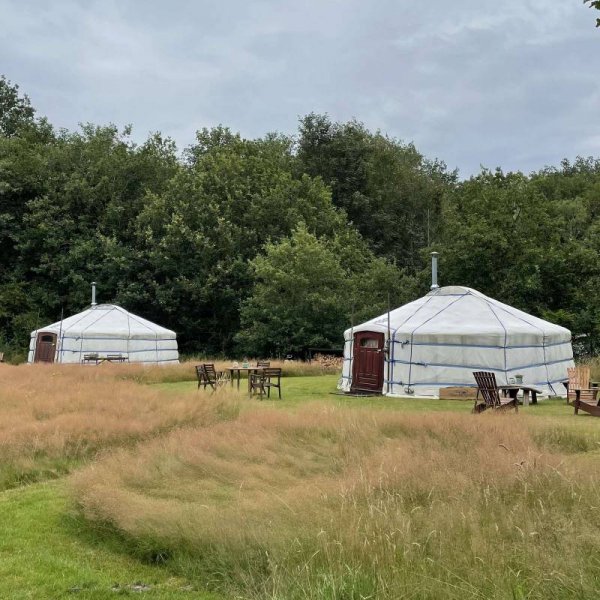Camping de Bronzen Eik — Foto 4