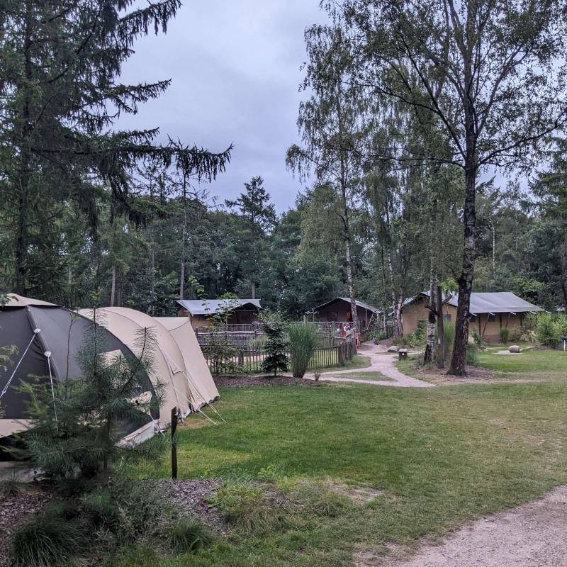 Camping Het Horstmannsbos — Campingplats in Gasselte / Drenthe