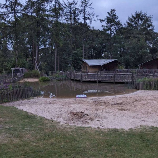 Camping Het Horstmannsbos — Photo 5