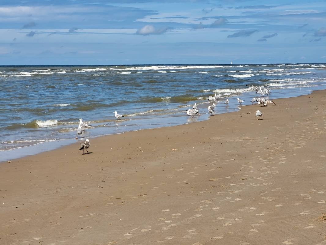 Camping De Kolibrie — Campingplatz in Warmenhuizen