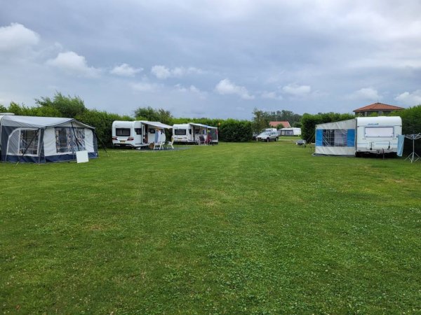 Camping De Kolibrie — Photo 3
