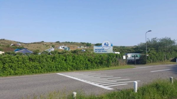 Duincamping De Lepelaar — Photo 3