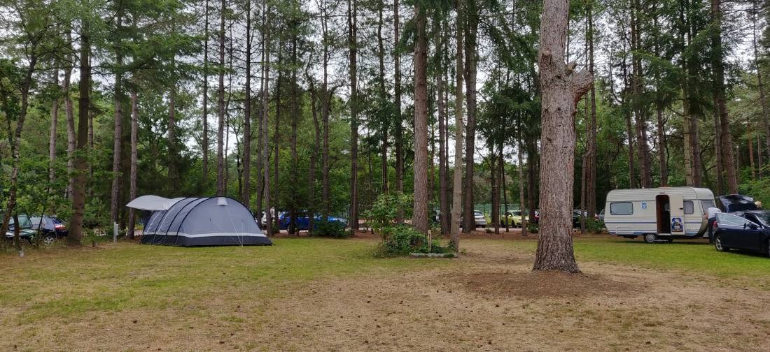 Camping Distelloo — Kemp in Helvoirt