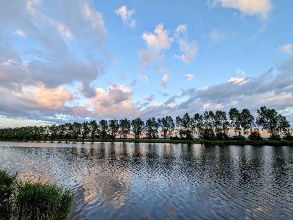 De 4 Elementen — Photo 4