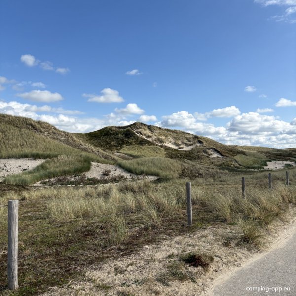 Aan Noordzee — Foto 2