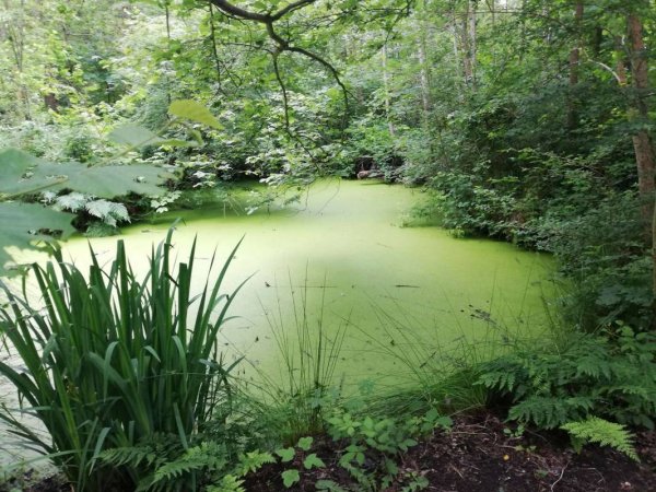 Aan Noordzee — Photo 3