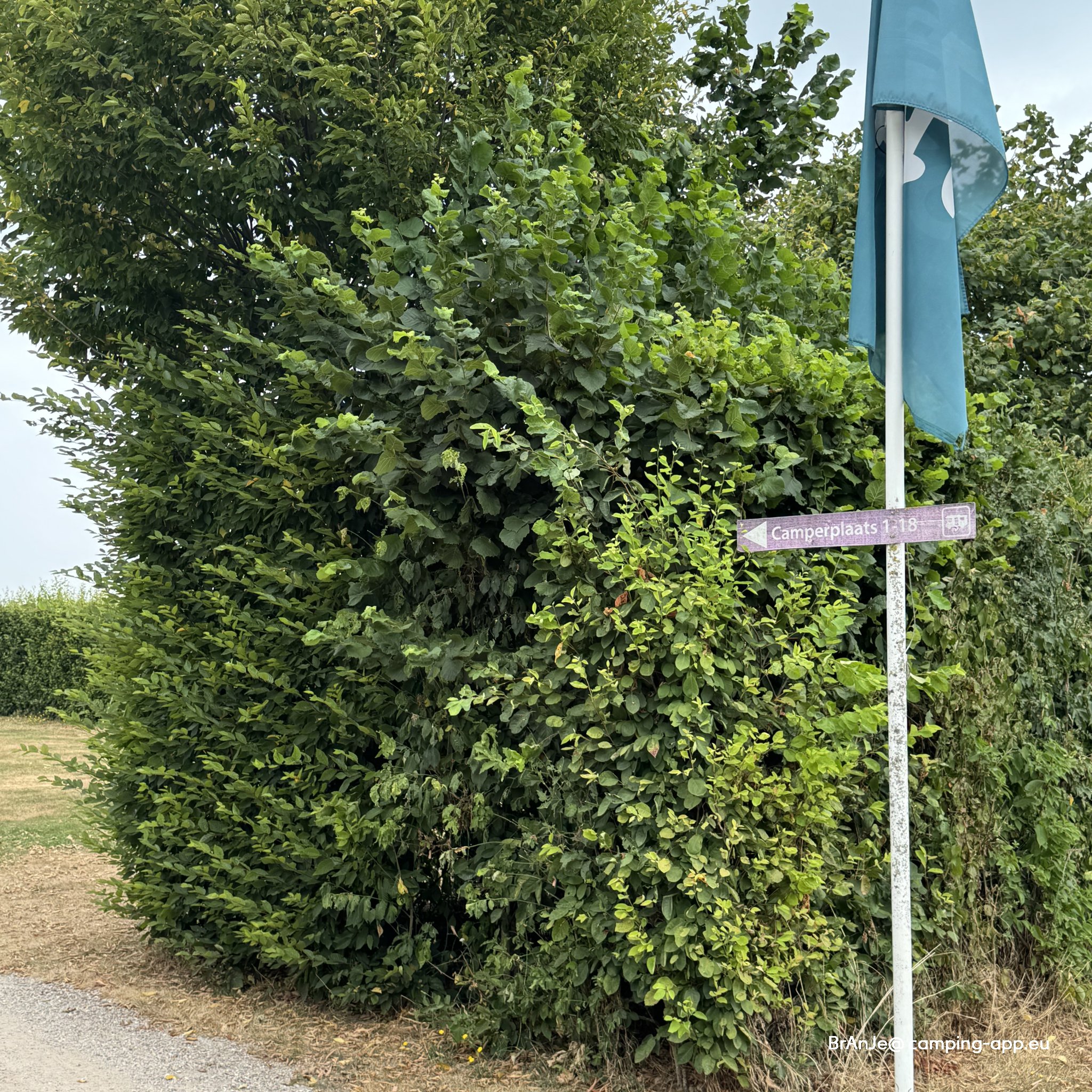 Camping 't Eyveld — Foto 2