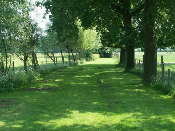 De Bankenburg — Photo 3