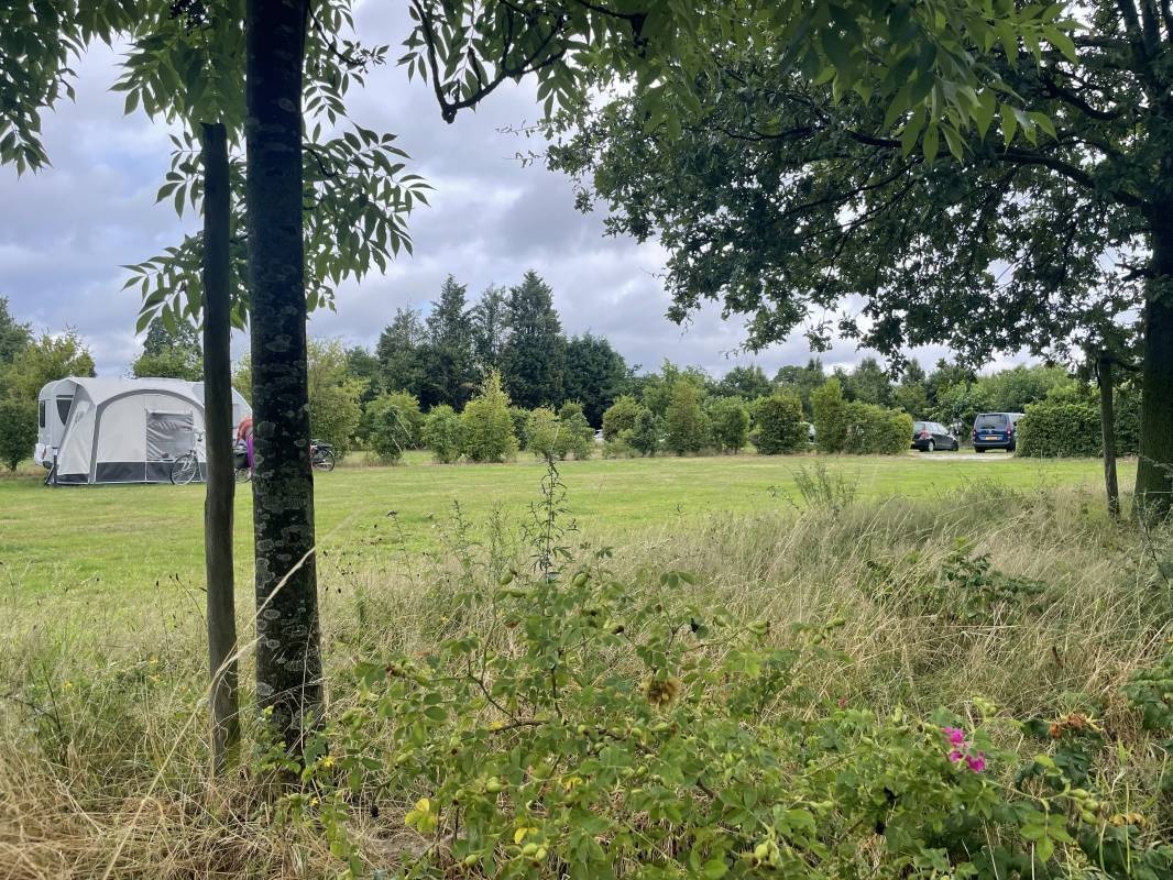 De Rozenhorst Camping — Camping in Lottum