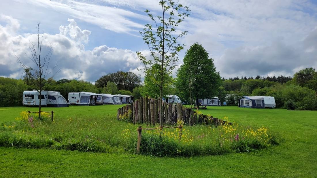 Camping Schoneveld — Kamp yeri in Ruurlo / Gelderland