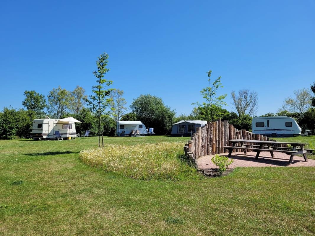 Camping Schoneveld — Kamp yeri in Ruurlo / Gelderland